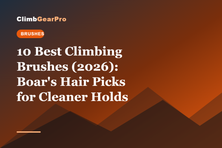 10 Best Climbing Brushes (2026): Boar's Hair Picks for Cleaner Holds